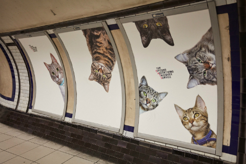 Estación de metro sustituye anuncios por gatos