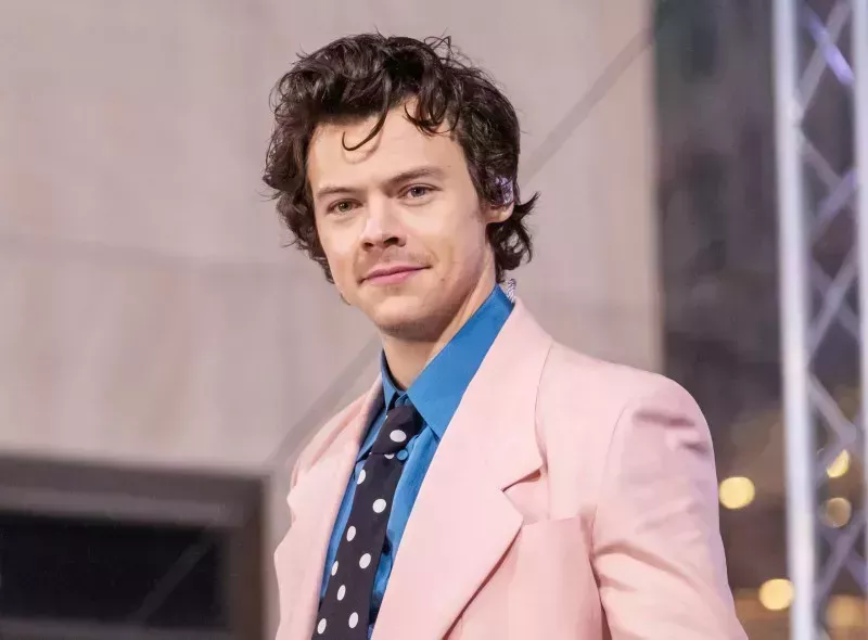 Harry Styles habla de One Direction desde que dejó el grupo: Citas