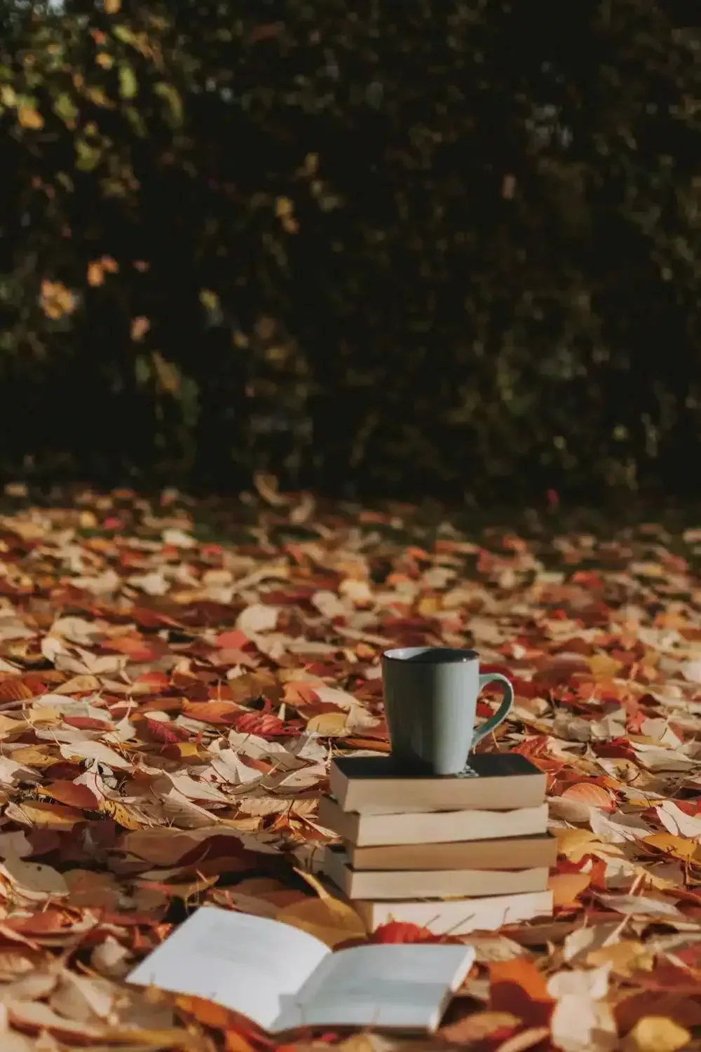 Los 5 mejores libros para el otoño