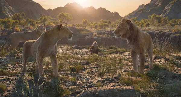 Taka, Sarabi, Rafiki y Mufasa en 'Mufasa: El Rey León.'