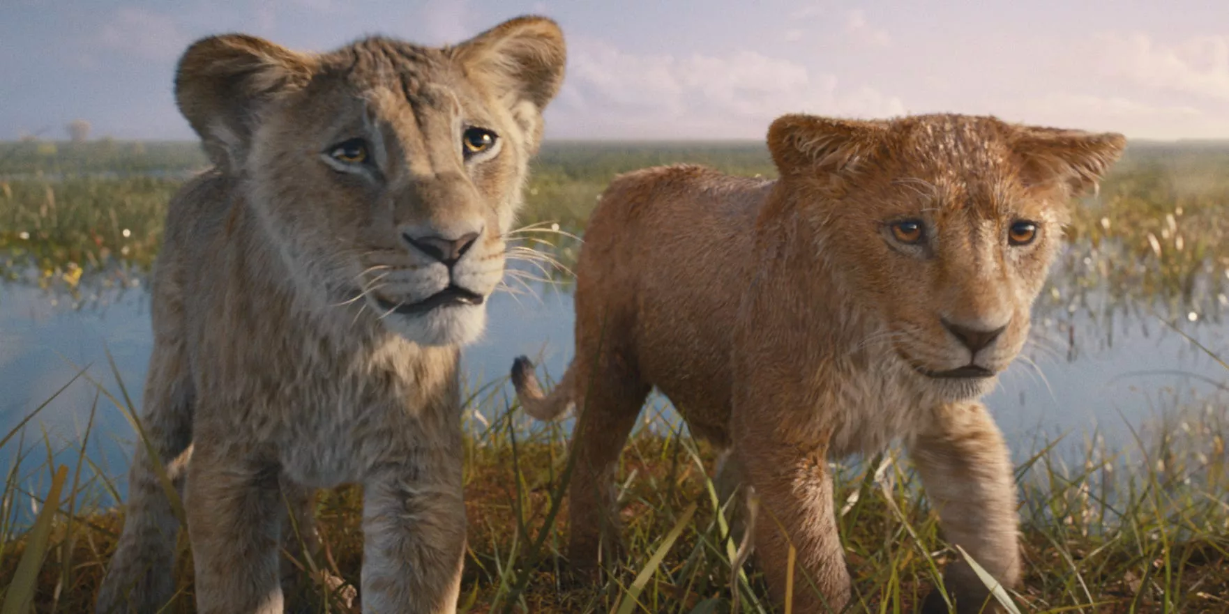 Los críticos llaman a 'Mufasa: El Rey León' un 'producto artificial' y 'corporativo en blanco', pero aún es mejor que el remake de 'El Rey León' de 2019