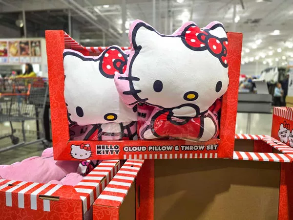 Ya compré el conjunto de almohada y manta de Hello Kitty para mi hija.