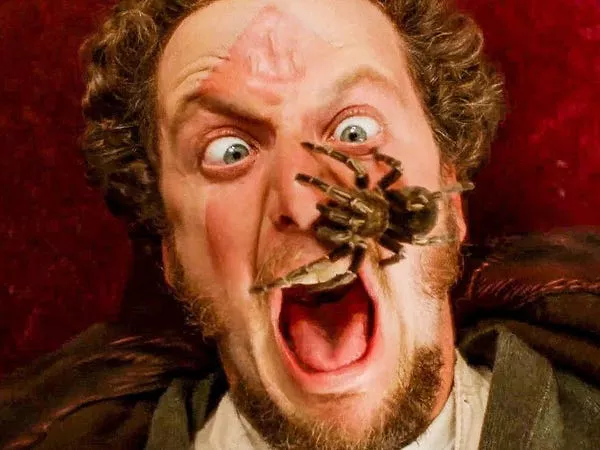 Daniel Stern en 'Home Alone'.