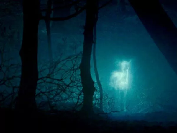 El Patronus de Snape tomó la forma de una cierva.