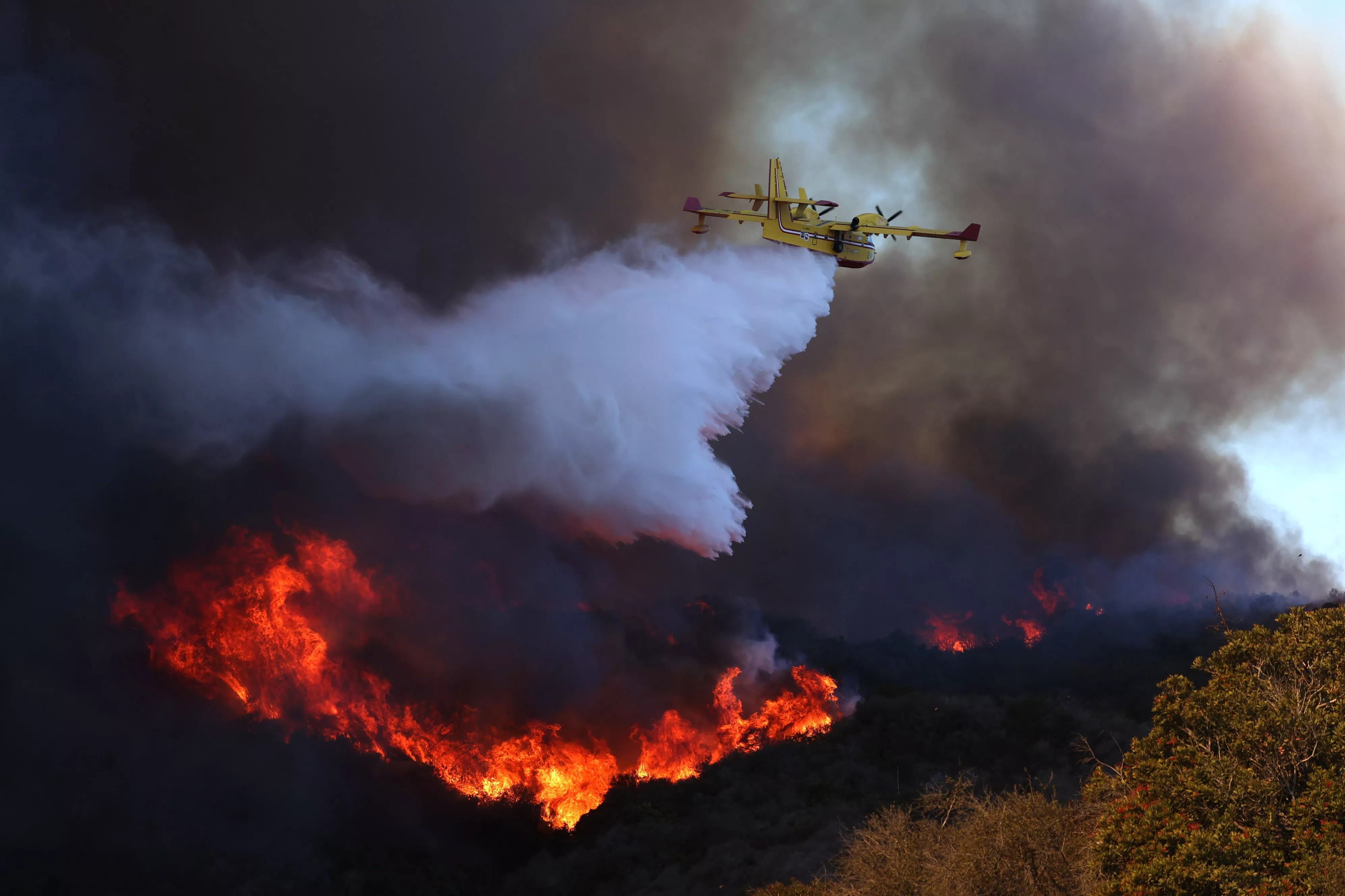 Todos los estrenos y eventos de Hollywood cancelados debido a los incendios en Los Ángeles: AFI Awards, BAFTA Tea y más