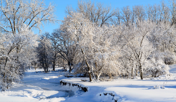 La Ciencia detrás de la Nieve