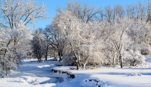 La Ciencia detrás de la Nieve