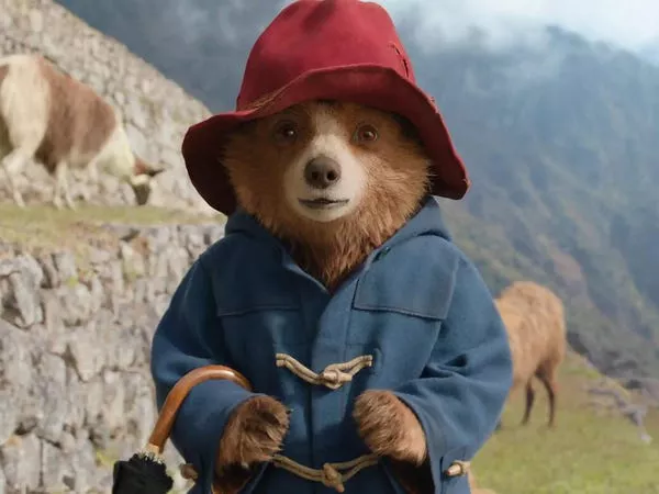 Paddington in Peru