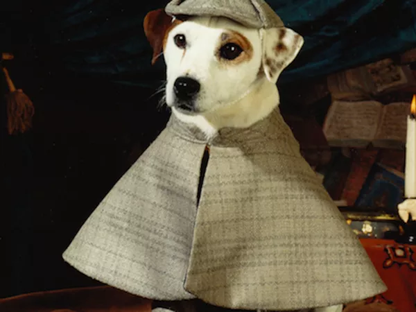 'Wishbone' fue una serie de TV sobre los sueños de un perro.