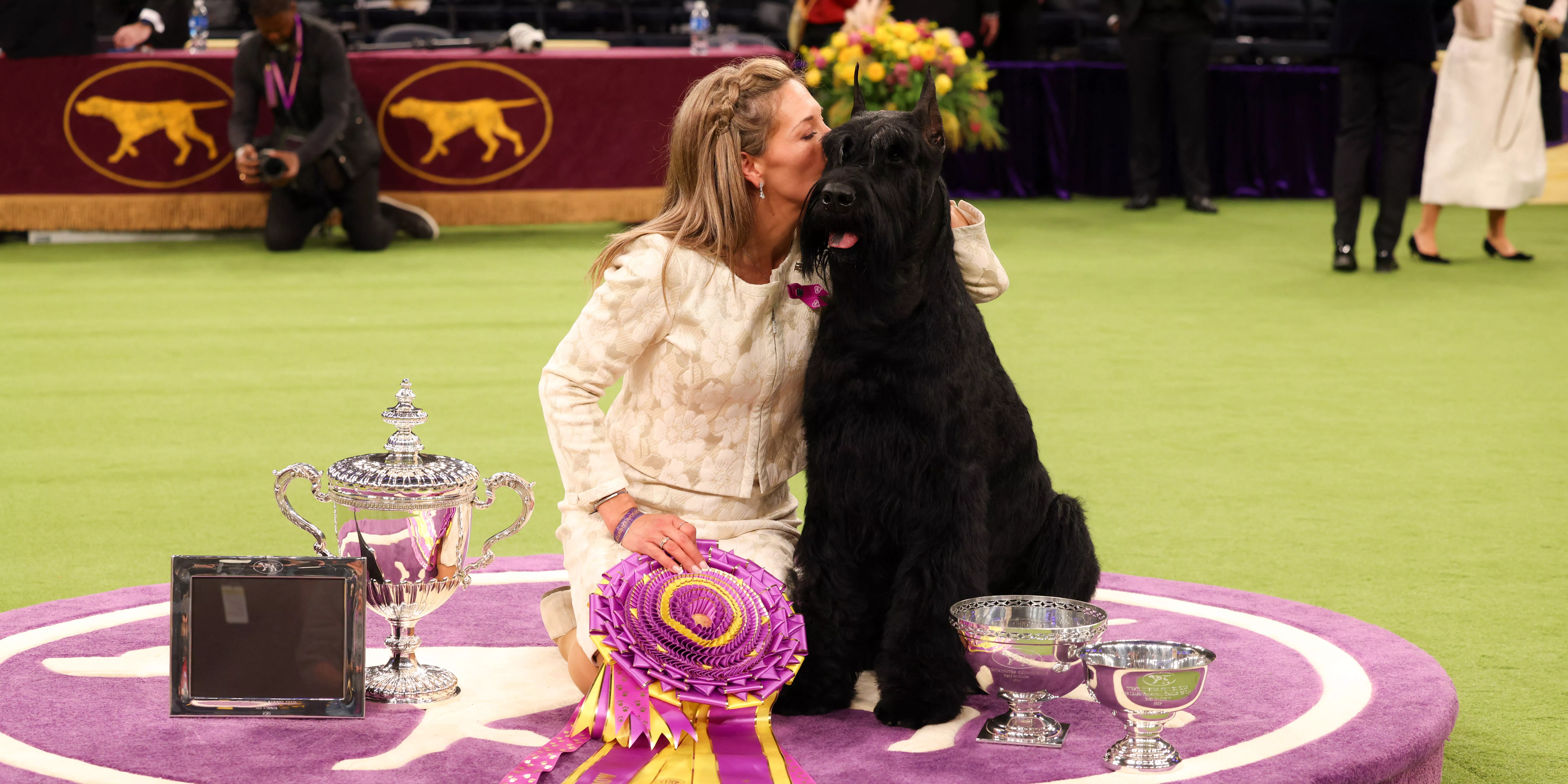 Fotos de los perros que ganaron el título de Mejor en Show de Westminster a lo largo de los años